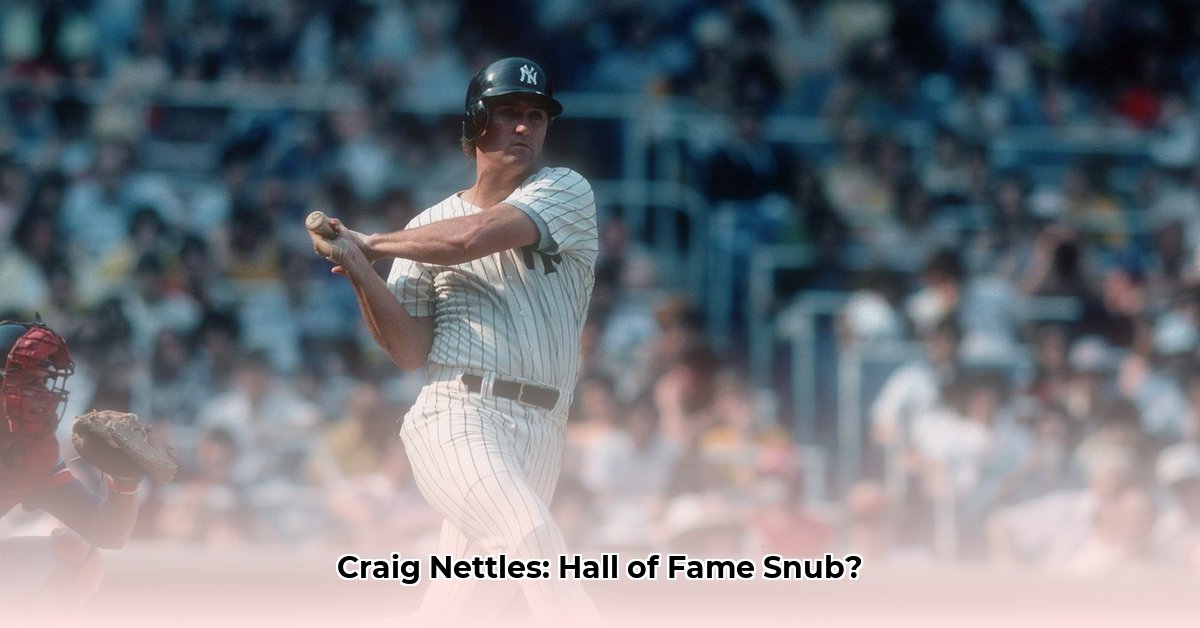 graig-nettles-net-worth